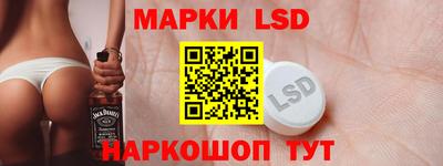 стаф Будённовск