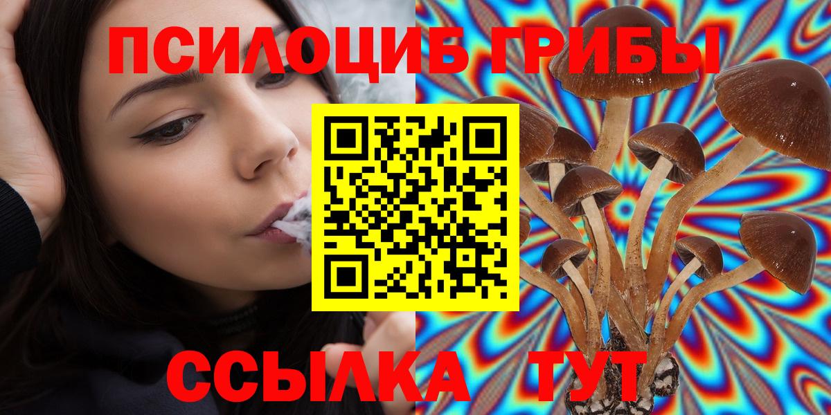 Галлюциногенные грибы прущие грибы Барнаул